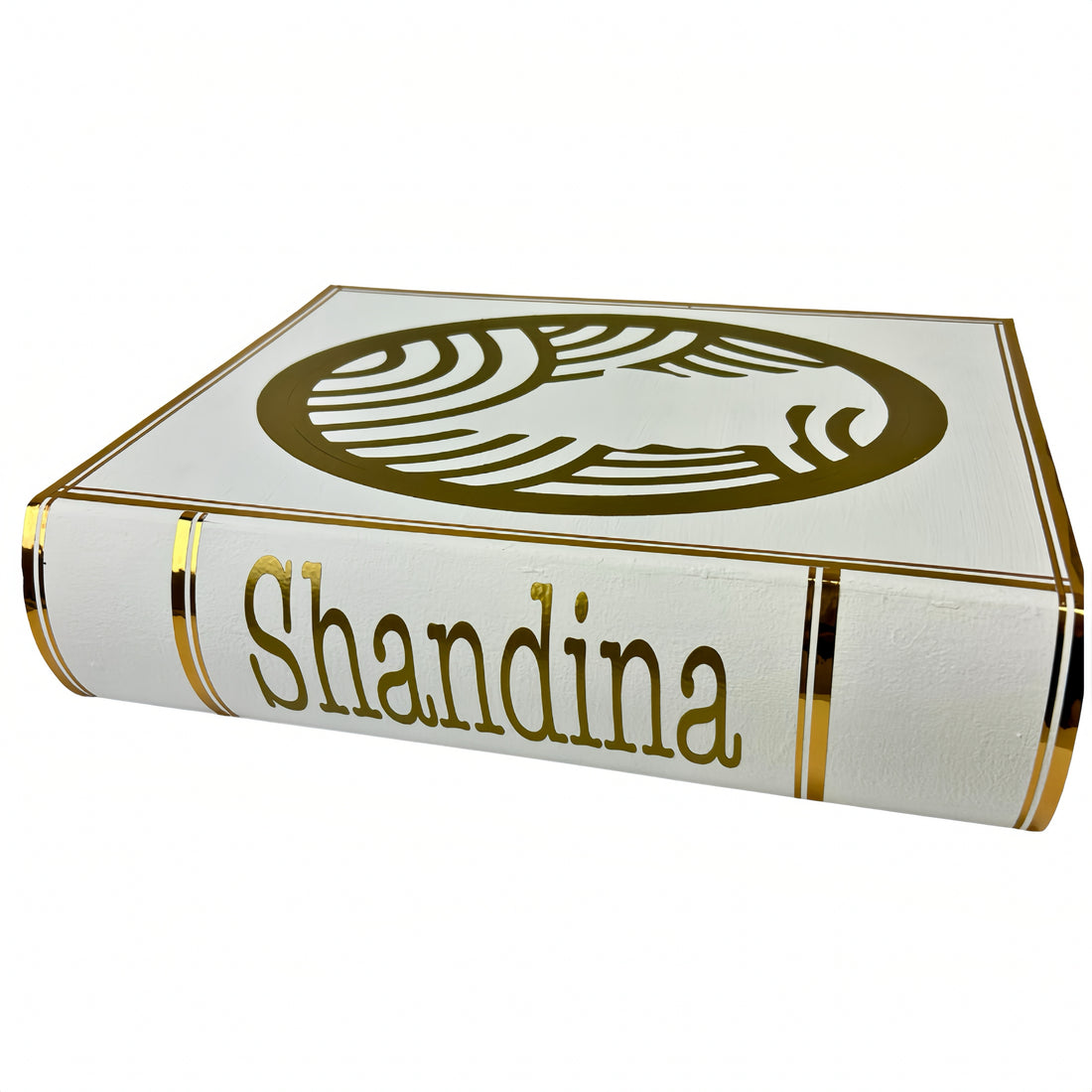 Shandina Storage Book